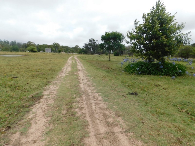 Campo de 35 has en venta