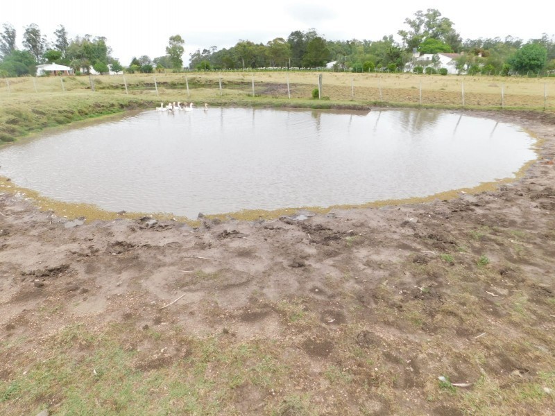 Campo de 35 has en venta