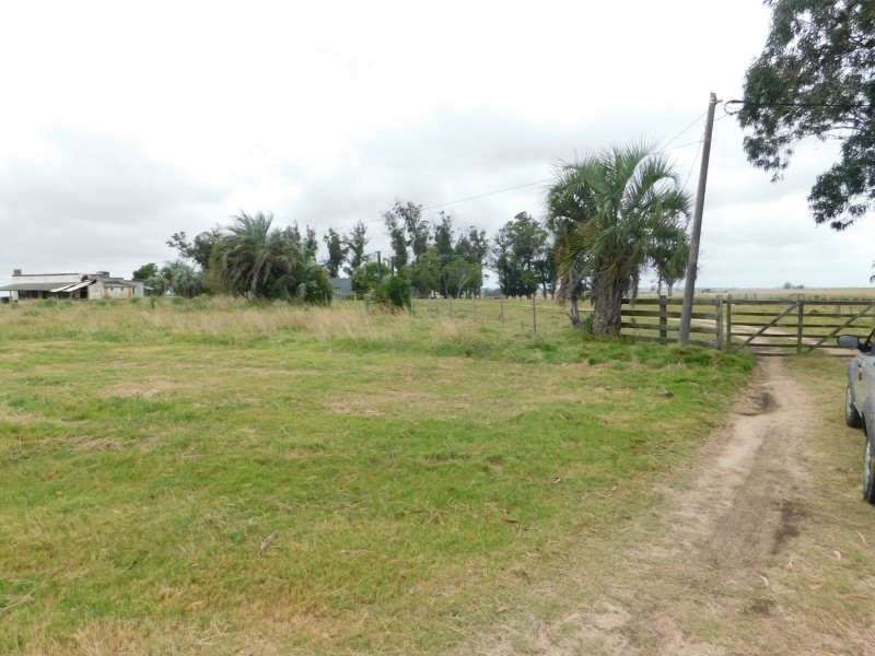 Campo de 35 has en venta