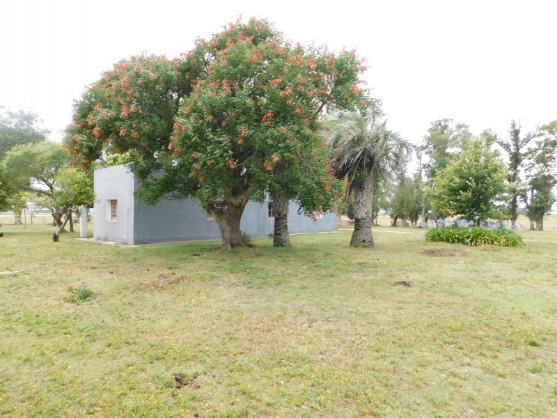 Campo de 35 has en venta