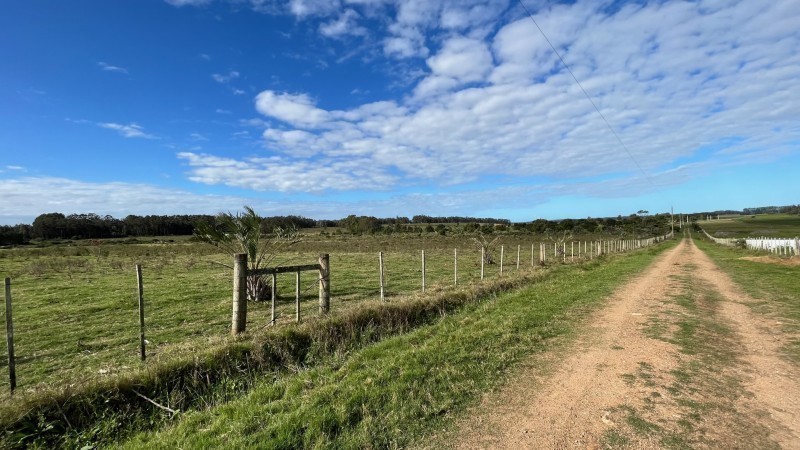 Chacra en venta en zona de ruta 104