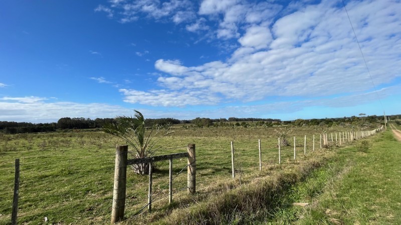 Chacra en venta en zona de ruta 104