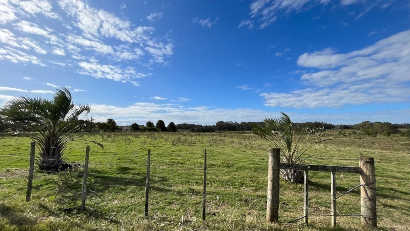 Chacra en venta en zona de ruta 104