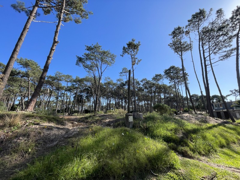 Lote en Venta en Laguna Blanca