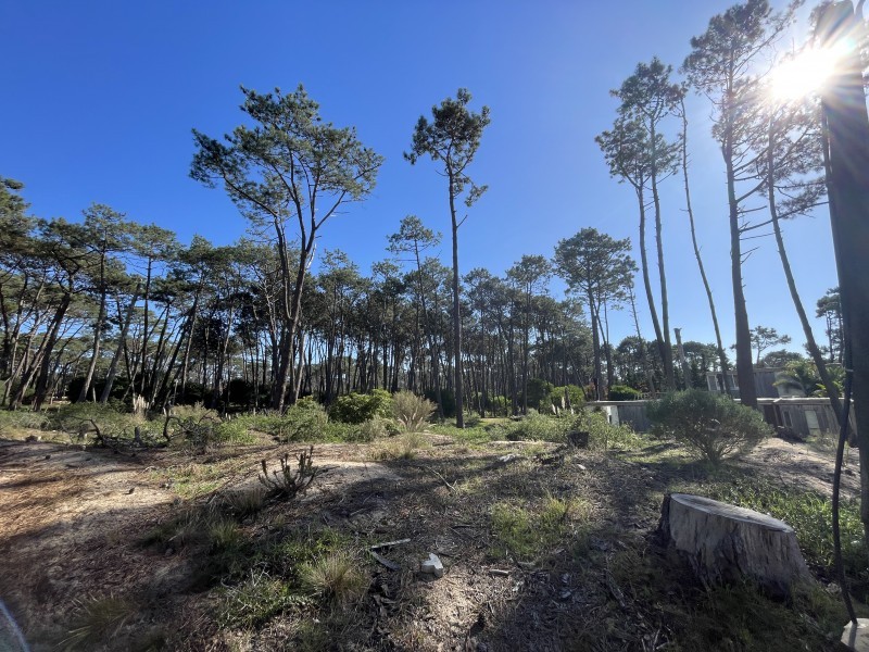 Lote en Venta en Laguna Blanca