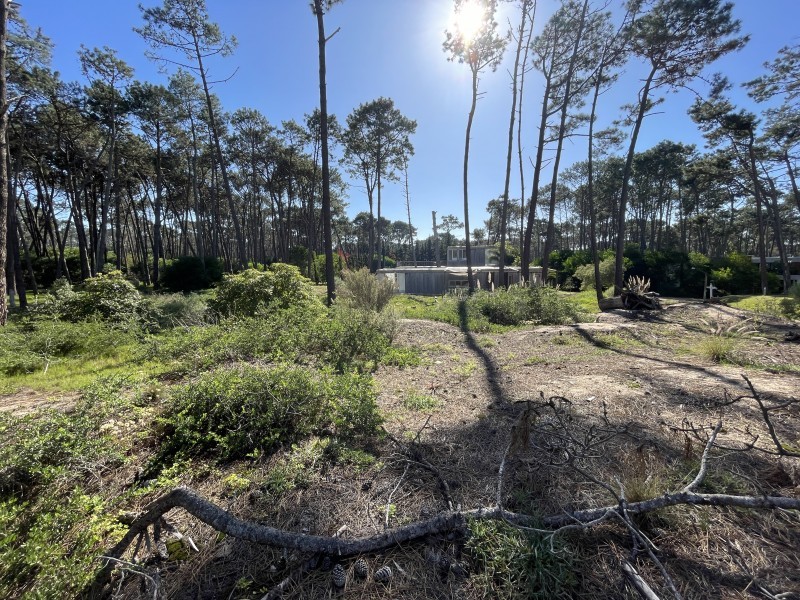 Lote en Venta en Laguna Blanca