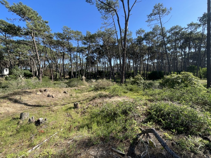 Lote en Venta en Laguna Blanca