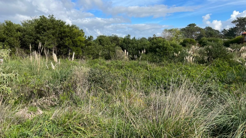 Lotes para proyecto en Manantiales