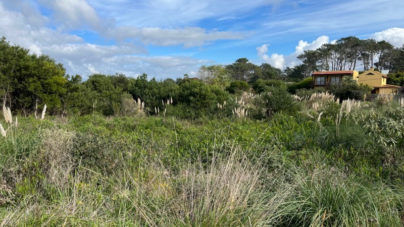 Lotes para proyecto en Manantiales