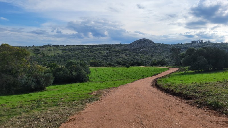 Chacra de 5 hectareas