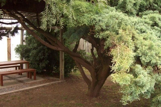 Moderna casa en alquiler frente a La Posta del Cangrejo, La Barra.