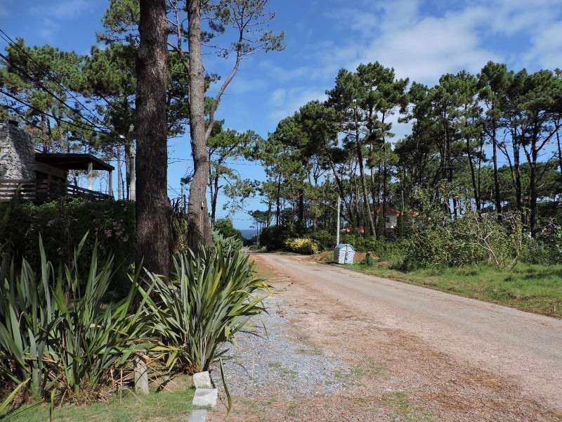 Simpático chalet en alquiler en medio del bosque, Montoya, La Barra.