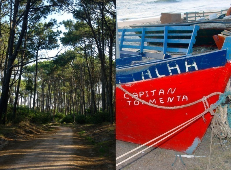 Lotes en Barrio Privado Playa Brava, Jose Ignacio