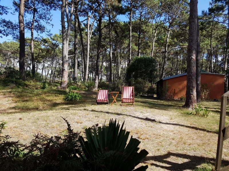 Simpático chalet en alquiler para disfrutar del bosque mirando el mar sobre La Barra.