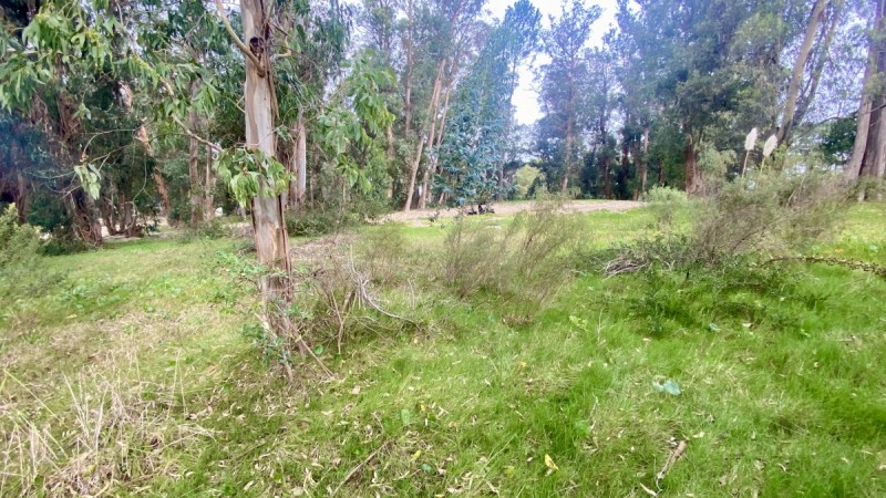 Terreno en Reserva de Montoya