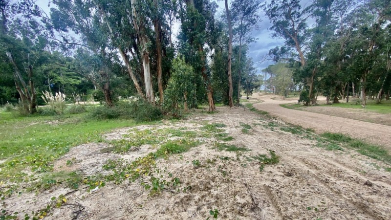 Terreno en Reserva de Montoya