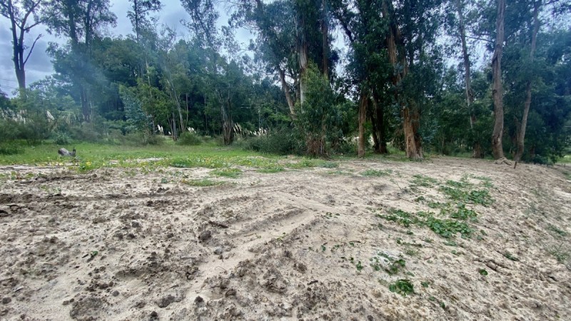 Terreno en Reserva de Montoya