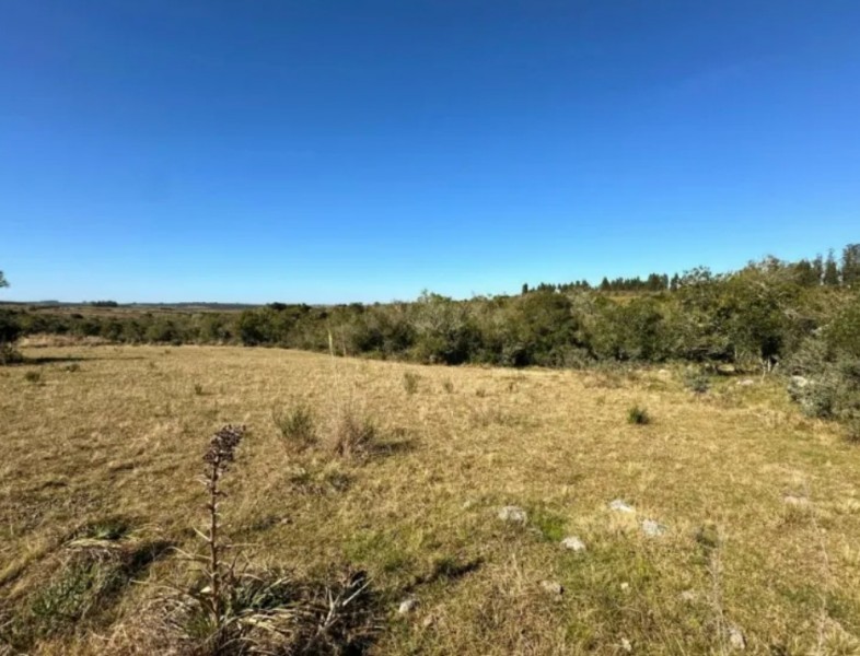 Chacra Exclusiva a pasos del Pueblo Garzón