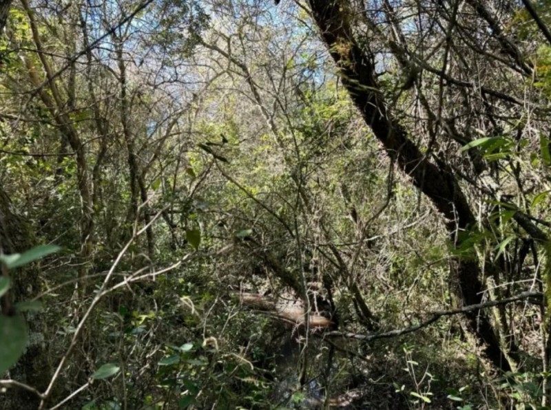 Chacra Exclusiva a pasos del Pueblo Garzón