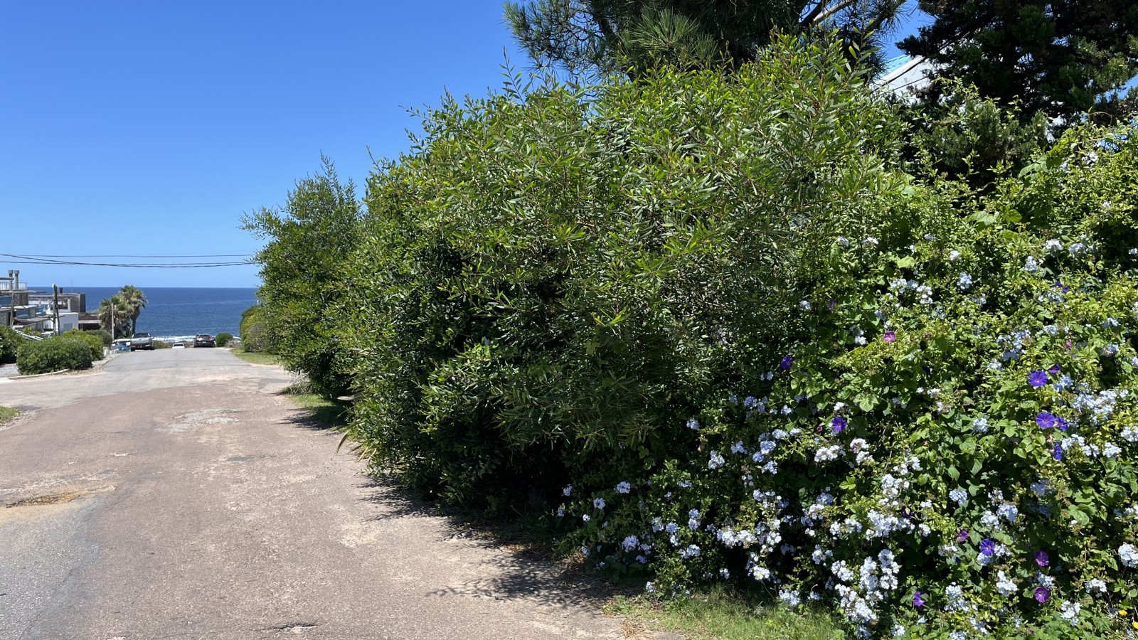 Lote para proyecto en La Barra de la ruta al mar