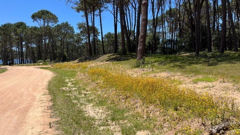 Lote en venta en La Reserva de Montoya