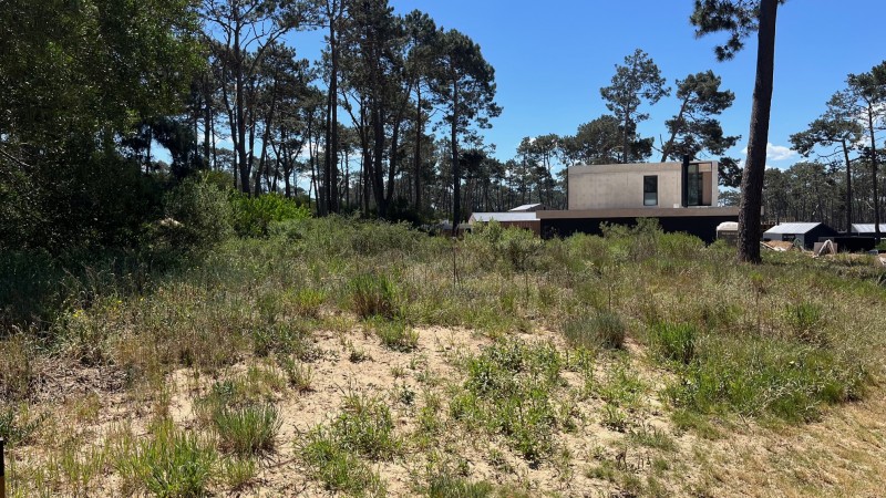 Propiedad en Montoya, La Barra Lote en venta en La Reserva de Montoya