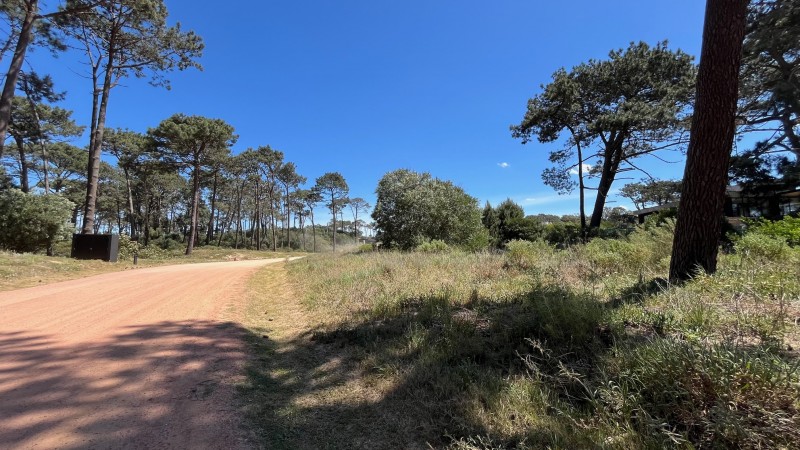 Propiedad en Montoya, La Barra Lote en venta en La Reserva de Montoya