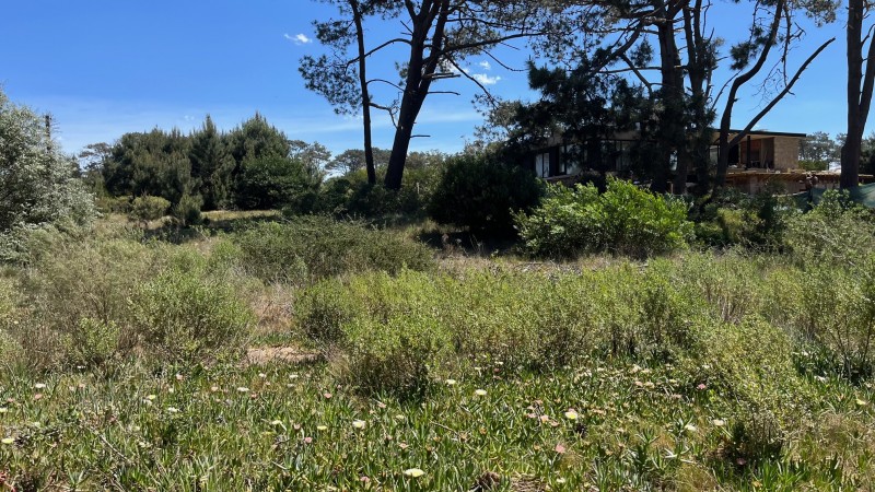 Propiedad en Montoya, La Barra Lote en venta en La Reserva de Montoya