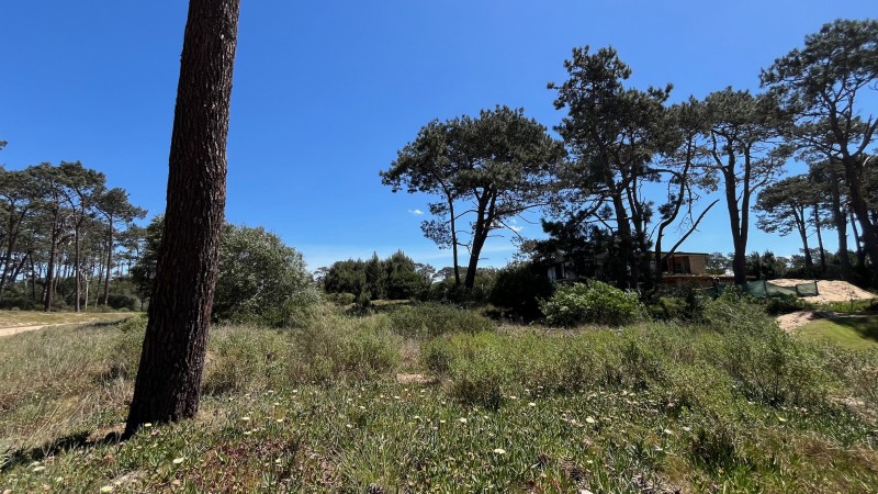Propiedad en Montoya, La Barra Lote en venta en La Reserva de Montoya