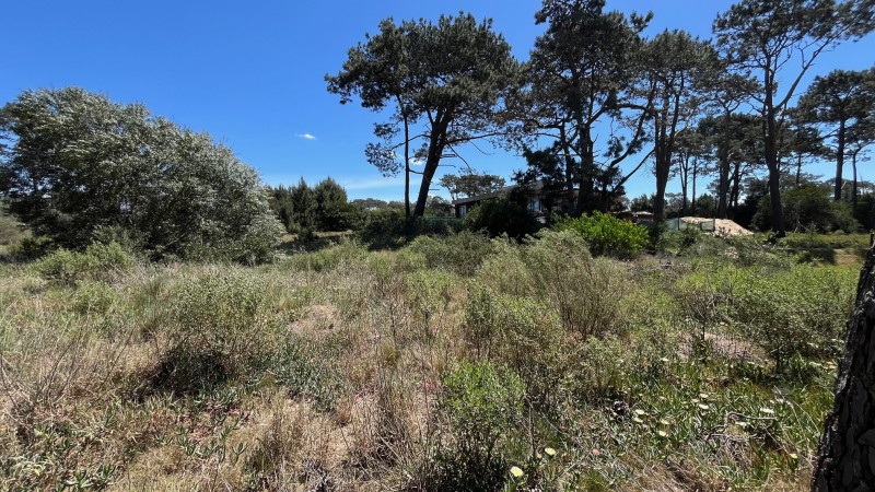 Propiedad en Montoya, La Barra Lote en venta en La Reserva de Montoya