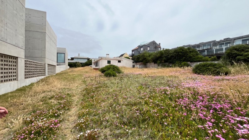 Propiedad primera línea en Montoya