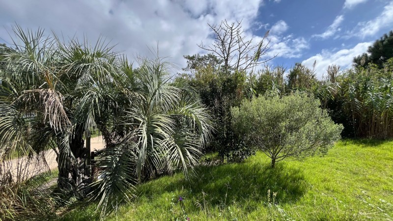 Lote en venta en Manantiales