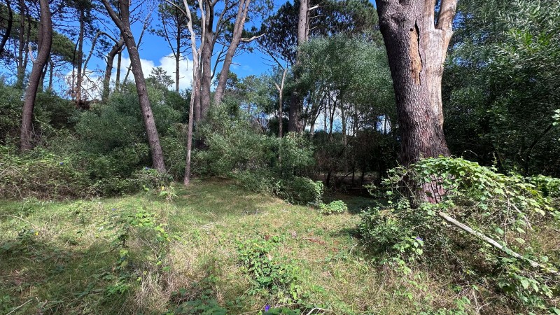 Lote en venta en La Reserva de Montoya