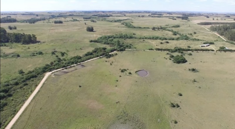Campo en venta para fraccionamiento en Faldas de José Ignacio
