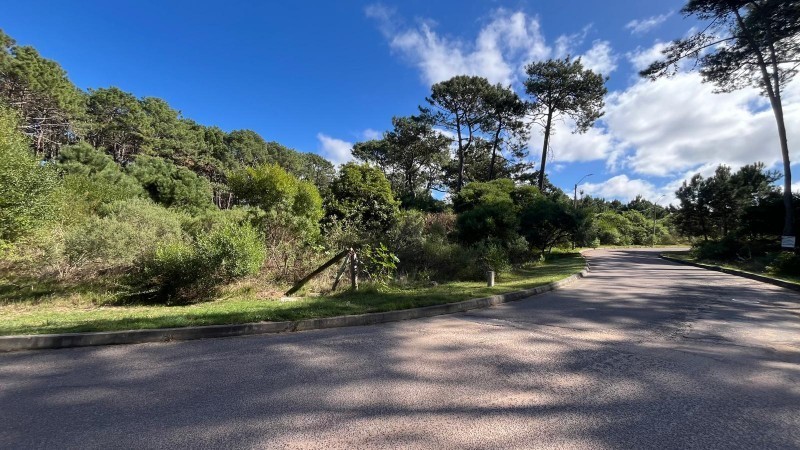 Lote en venta en Montoya