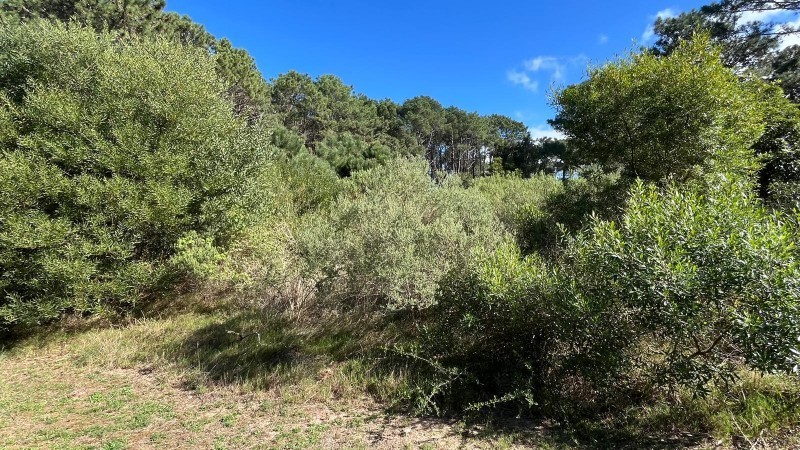 Lote en venta en Montoya