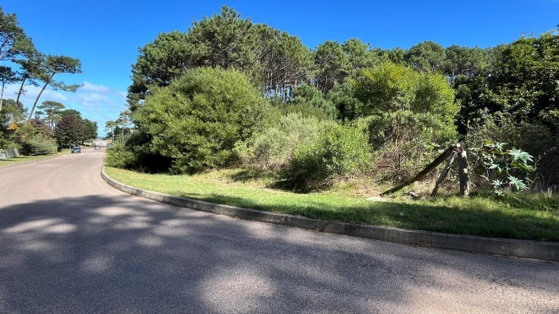 Lote en venta en Montoya