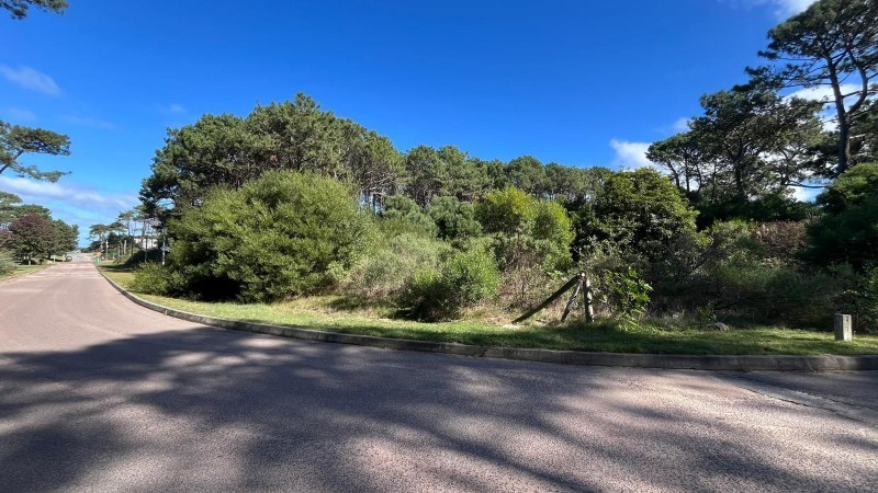 Lote en venta en Montoya