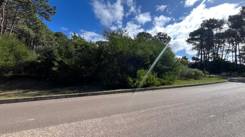 Lote en venta en Montoya