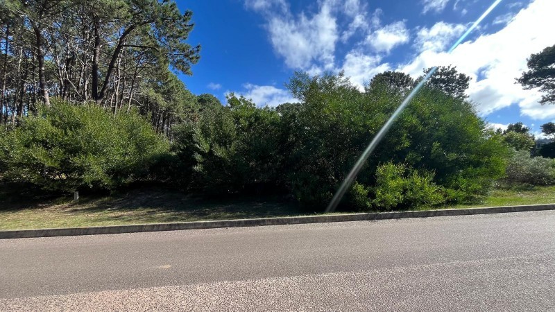 Lote en venta en Montoya
