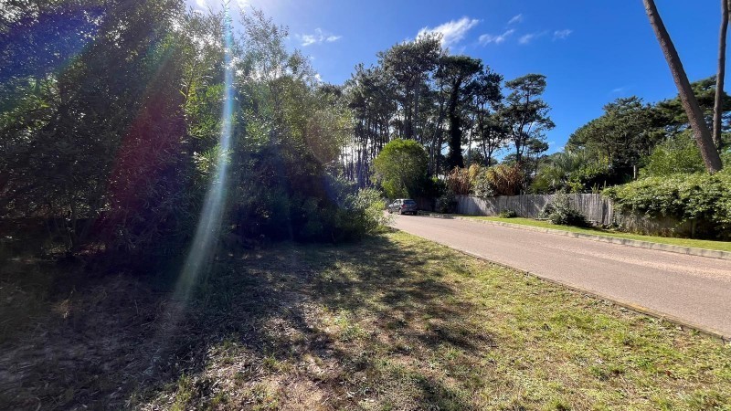 Lote en venta en Montoya