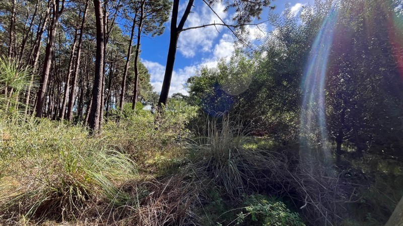 Lote en venta en Montoya