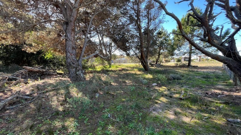 Terreno en venta en San Vicente