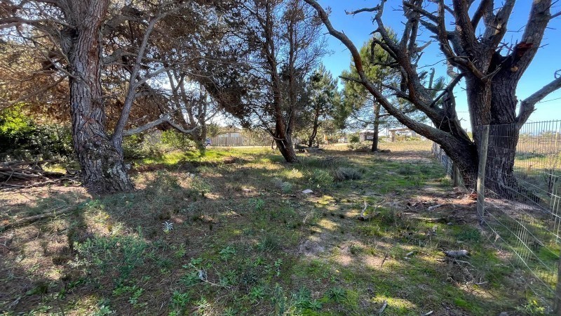Terreno en venta en San Vicente