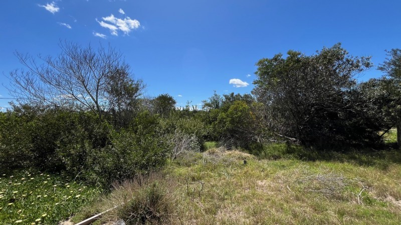 Lote en venta en La Juanita