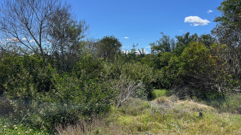 Lote en venta en La Juanita