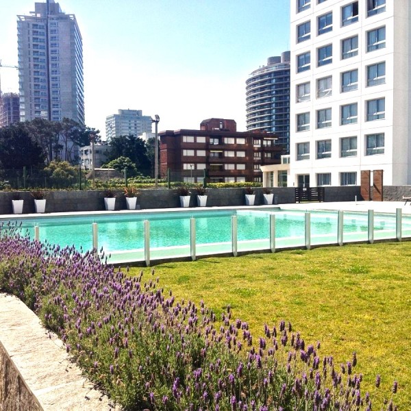 Monombiente en edificio  full amenities en Brava 