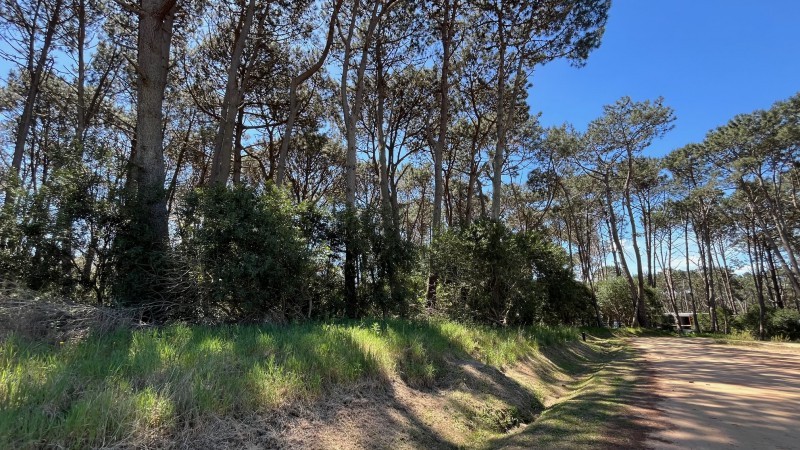 Propiedad en Montoya, La Barra Lote en venta en La Reserva de Montoya