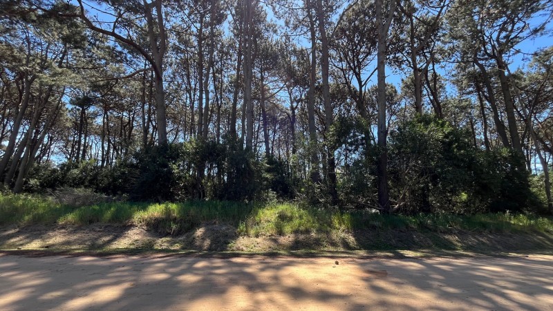 Propiedad en Montoya, La Barra Lote en venta en La Reserva de Montoya