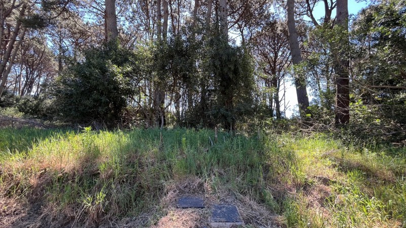 Propiedad en Montoya, La Barra Lote en venta en La Reserva de Montoya